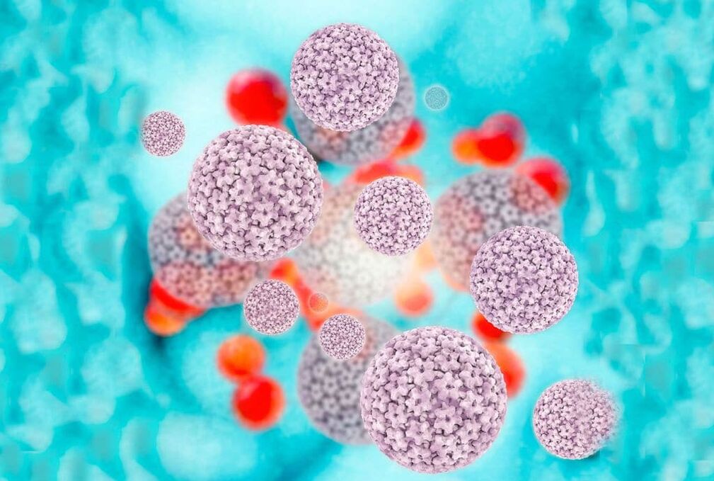 Virus do papiloma humano