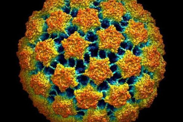Métodos para diagnosticar o virus do papiloma humano